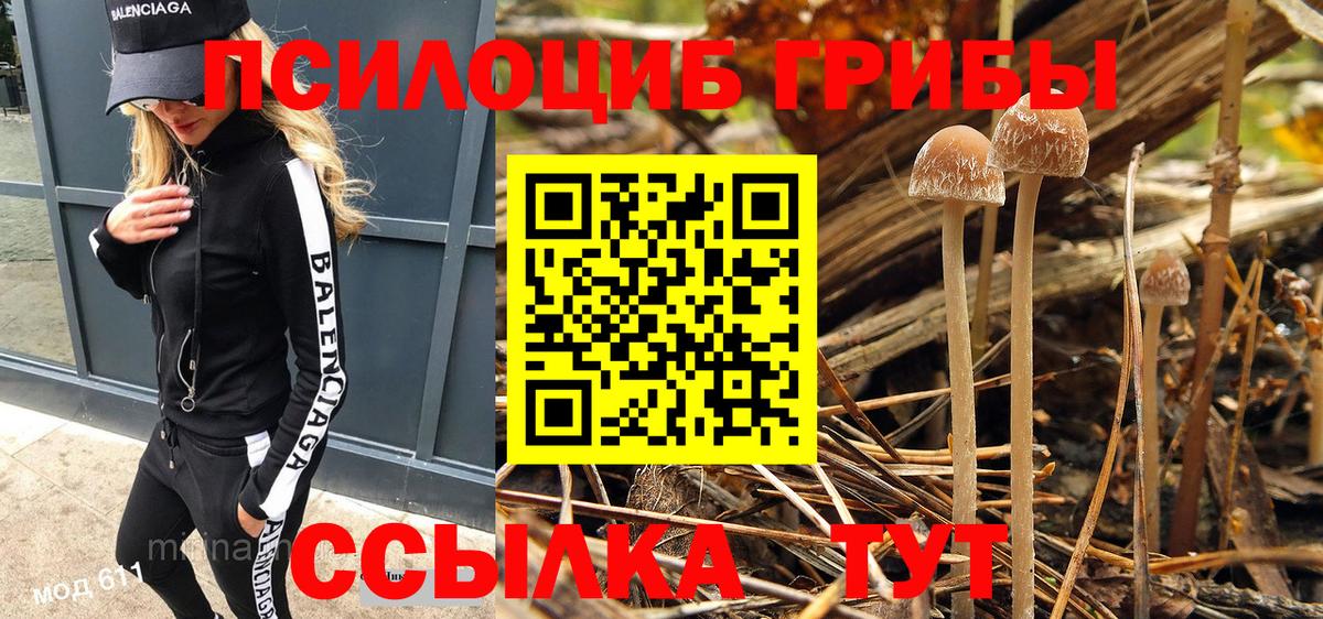 Ковров  Галлюциногенные грибы MAGIC MUSHROOMS  Вход с VPN 